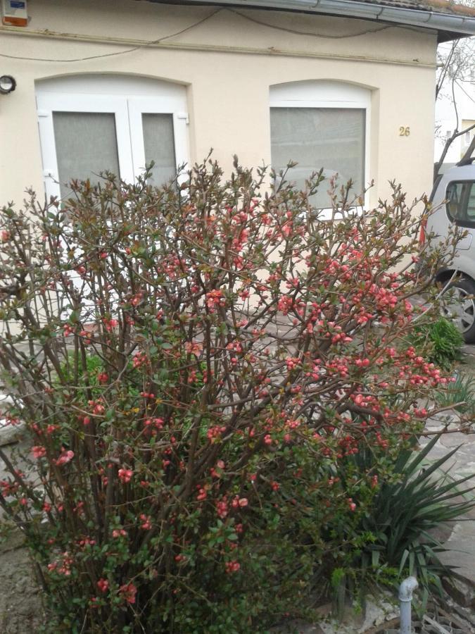 Casa Didina Fosta Pensiune Casa Didina Bacău Eksteriør bilde