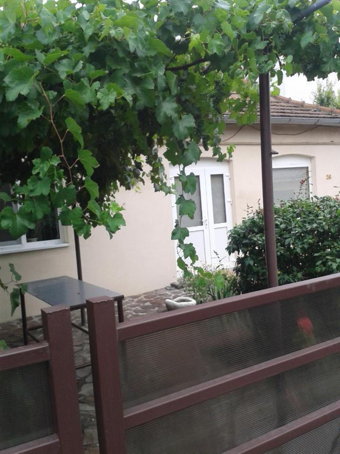 Casa Didina Fosta Pensiune Casa Didina Bacău Eksteriør bilde